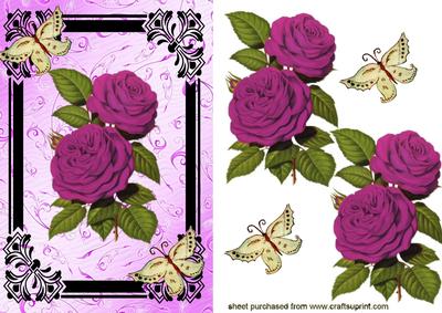 Pretty Flower in Frame with Butterflies