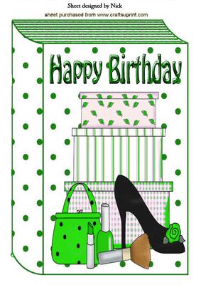 Ladies Shoe and Makeup in Green Folded Book A4