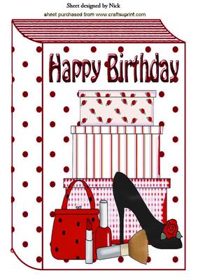 Ladies Shoe and Makeup in Red Folded A4 Book