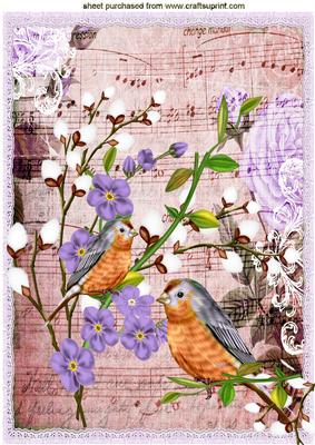 Pretty Bird on Music Sheet with Purple Flowers A4
