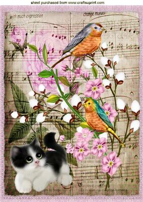 Pretty Birds with Kitty and Flowers with Music A4