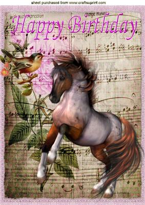 Beautiful Wild Stallion and Bird with Music A4