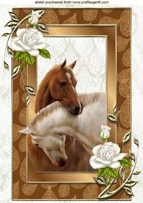 Horses Heads Entwined with Gold and White Rose Frame A4