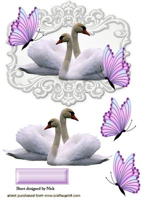 White Swans with Pink Butterflies in Ornate Frame