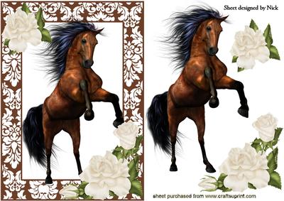 Beautiful Brown Stallion with Cream Roses