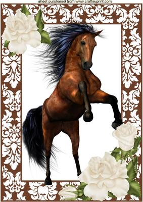 Beautiful Brown Stallion with Cream Roses A4