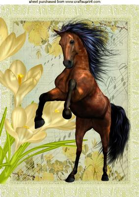 Brown Stallion on Music with Crocuses A4