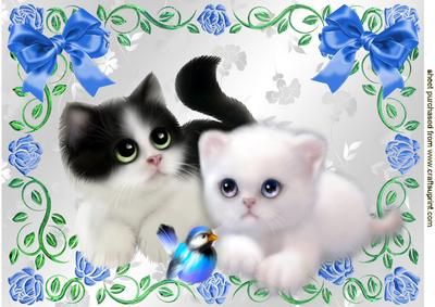 Cute Little Kitties in Rose Frame with Little Bird A4