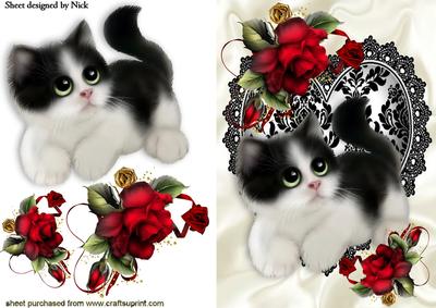 Cute Kitty with Red Roses on Lace Heart