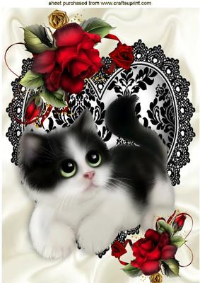 Cute Kitten on Lace Heart with Red Roses A4