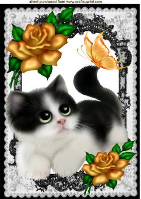 Cute Kitty in Lace Frame with Gold Roses A4