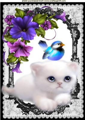 White Kitty in Lace Frame with Flowers and Little Bird A4