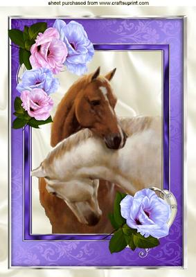 Beautiful Horses Entwined in Purple Rose Frame A4