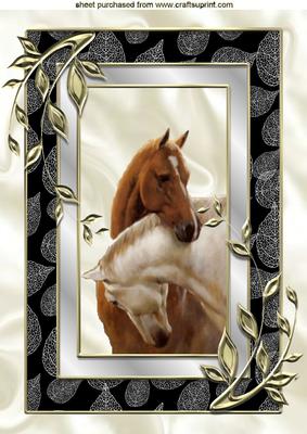 Beautiful Horses Heads Entwined in Silver/black Frame A4