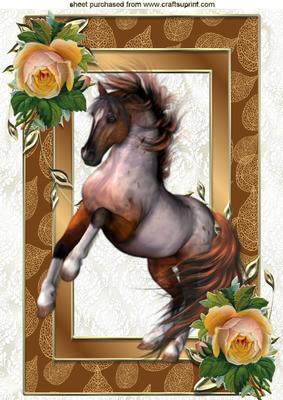 Beautiful Horse with Vintage Roses in Ornate Frame A4