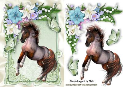 Beautiful Horse in Flower Frame with Butterflies
