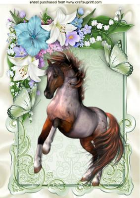 Beautiful Horse in Flower Frame A4
