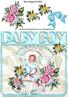 Sweet Baby Boy with Roses 8x8