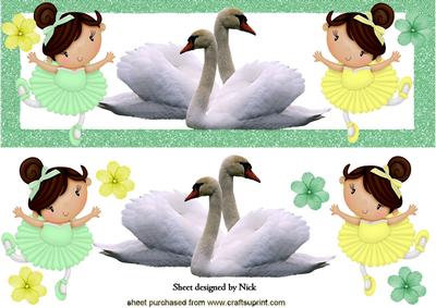 Pretty Ballerinas Dancing Swanlake with Swans Dl