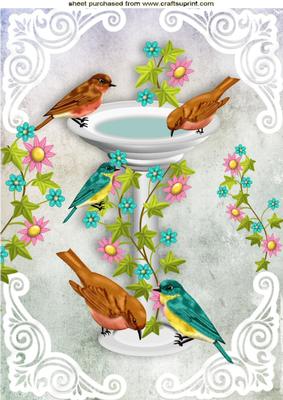 Bird Bath with Little Birds and Flowers A4