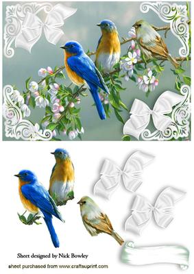 Birds Sitting on a Branch of Pink Blossoms