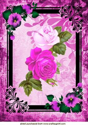 Gorgeous Cerise/pink Roses A4 Top in Pretty Background