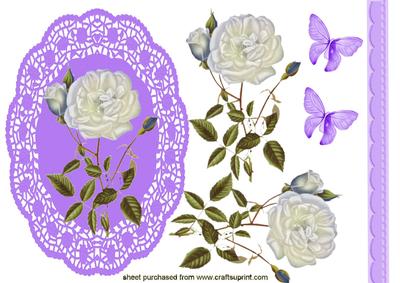 Pretty White Rose on Purple Lace