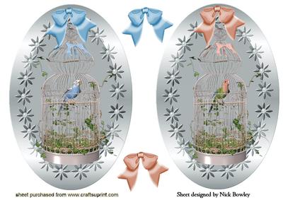 Budgie and Parrot in a Cage with Bow Toppers