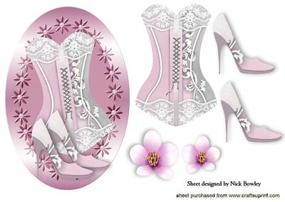 Pretty Pink Lace Basque with Shoes and Flowers