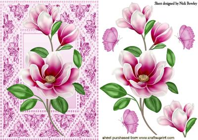 Pretty Pink Flowers in Ornate Frame with Butterflies