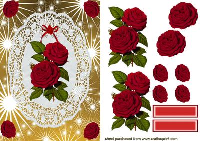 Pretty Red Roses on White Lace