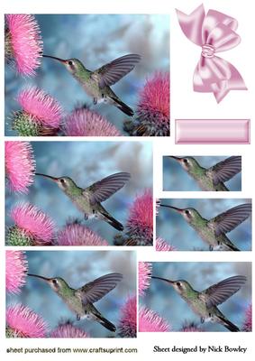 Pretty Humming Bird with Pink Flowers Pyramids