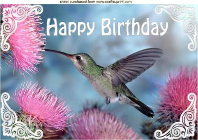 Humming Bird with Pink Flowers for Birthday A4