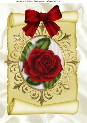 Red Rose in Ornate Frame on a Scroll A4