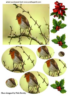 Little Robin Redbreast on a Branch Oval Pyramids