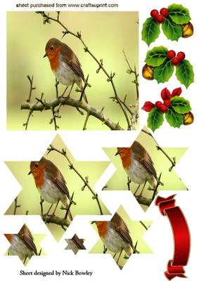 Little Robin Redbreast on a Branch Star Pyramids