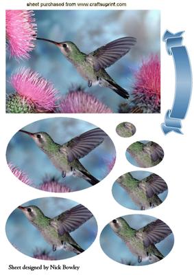 Pretty Humming Birds with Pink Flowers Oval Pyramids