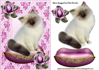 Princess Kitty on a Cushion , This is All Mine