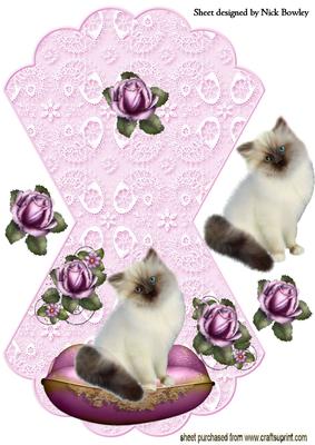 Cute Kitty on a Cushion with Roses Rocker Card