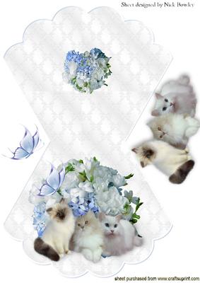 Kittens on White Lace Rocker Card with Blue Flowers