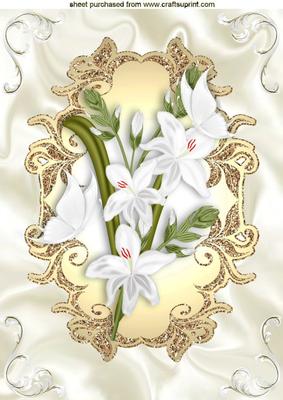 Pretty White Gladiolus in Gold Frame A4