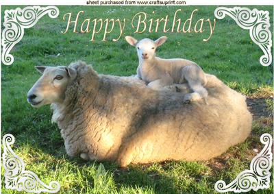 A Ewe and Her Baby Lamb in the Field A4