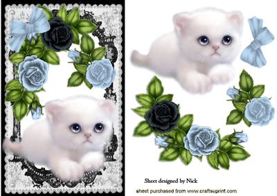 Little White Kitty with Blue Roses in Lace Frame