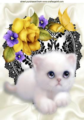 Little White Kitty on Lace Heart and Roses A4