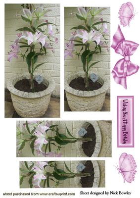 Pink Lillies in a Garden Pot Pyramids
