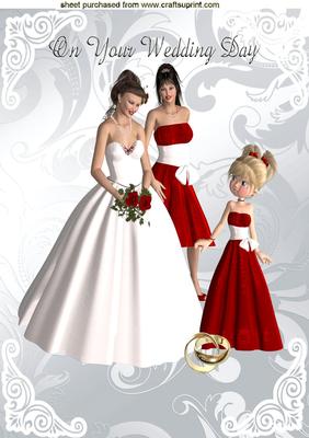 Bride with Her Bridesmades on Our Wedding Day A4