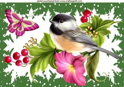 Pretty Birds on a Branch of Flowers A4
