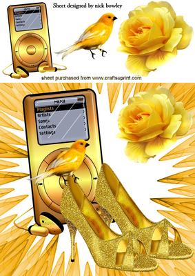 Gold Glitter Shoes with Mp3 Player and Rose 8x8