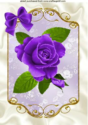 Pretty Painted Purple Roses with Bow A4
