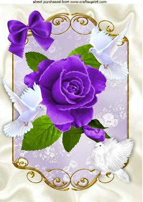 Pretty Painted Purple Roses with Bow and Doves A4